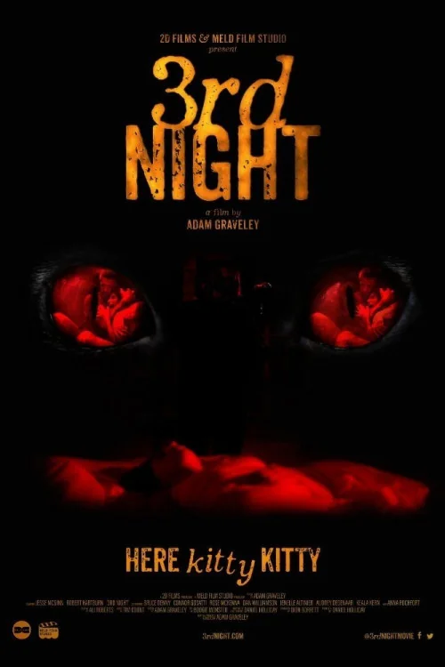 3rd Night Poster