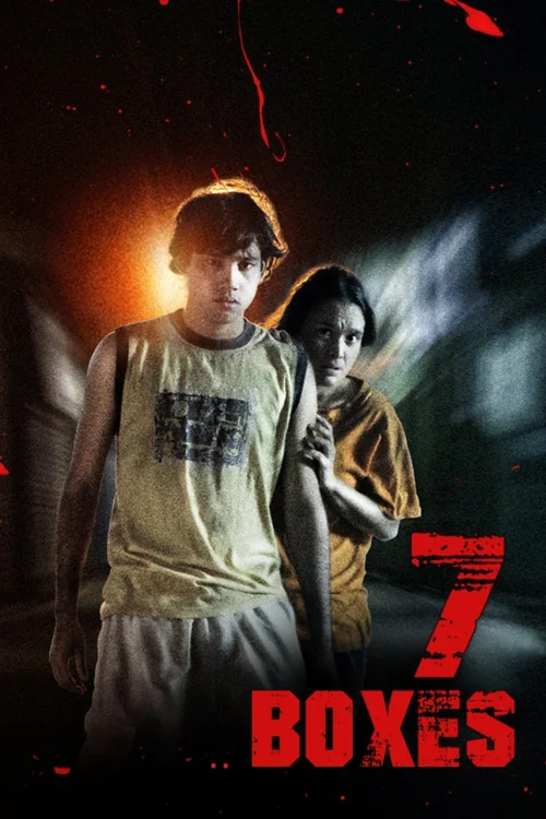 7 Boxes Poster
