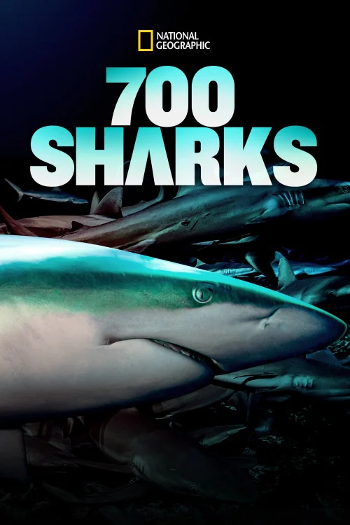 700 Sharks Poster