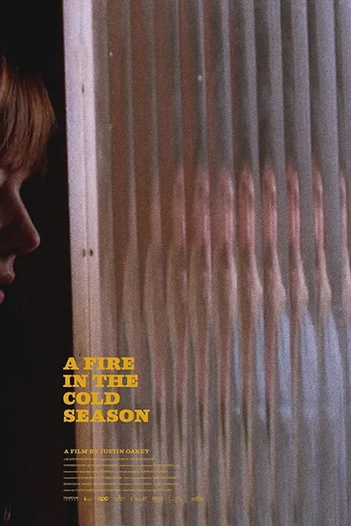 A Fire in the Cold Season Poster
