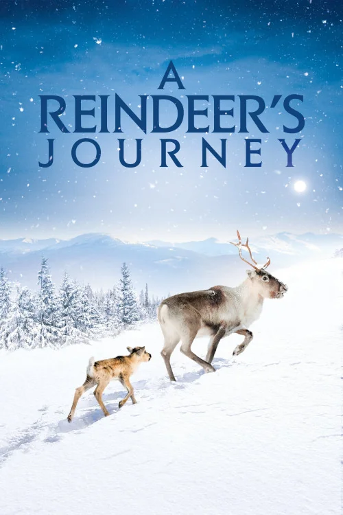 A Reindeer's Journey Poster