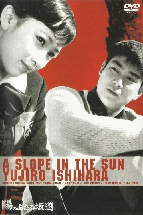 A Slope in the Sun Poster