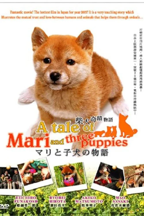 A Tale of Mari and Three Puppies Poster