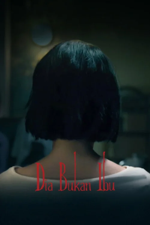 A Woman Called Mother Poster