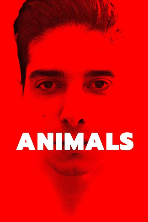 Animals Poster