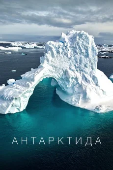 Antarktyda Poster