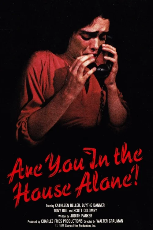 Are You in the House Alone? Poster