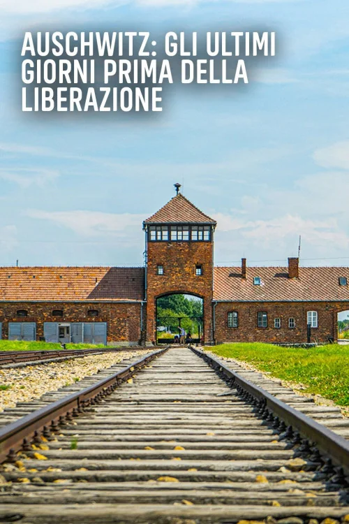 Auschwitz: Countdown to Liberation Poster