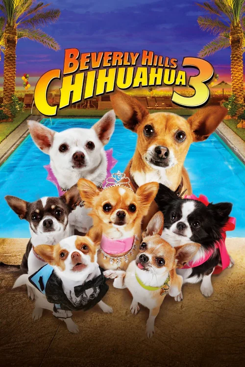 Beverly Hills Chihuahua 3: Viva La Fiesta! Poster