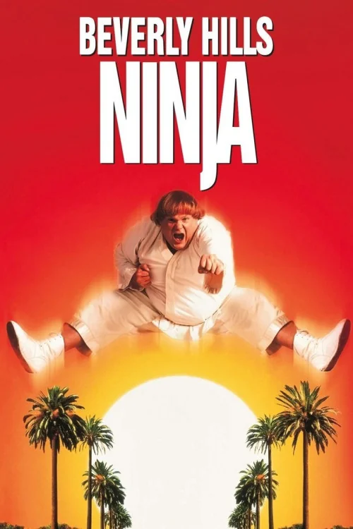 Beverly Hills Ninja Poster