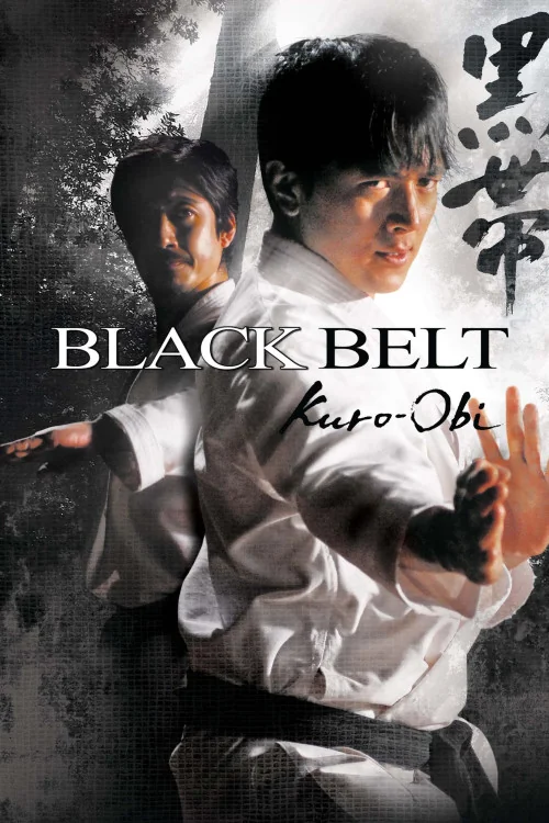 Black Belt Poster
