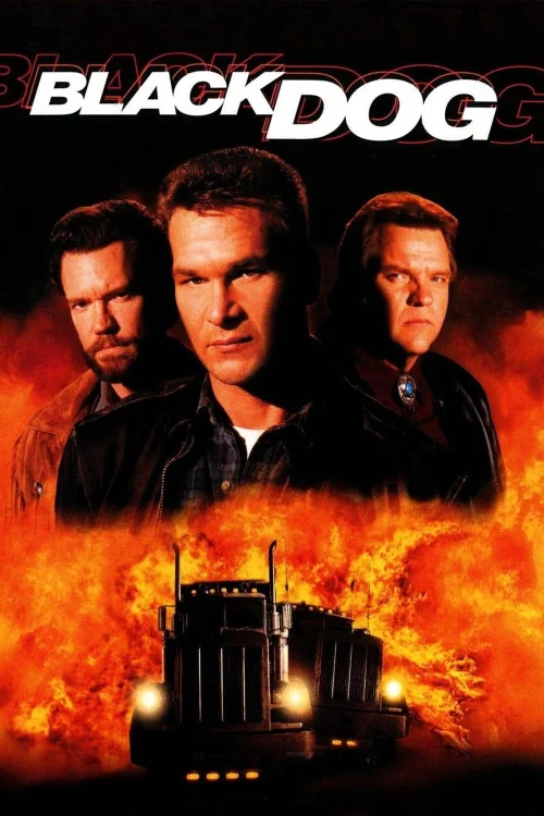 Black Dog Poster