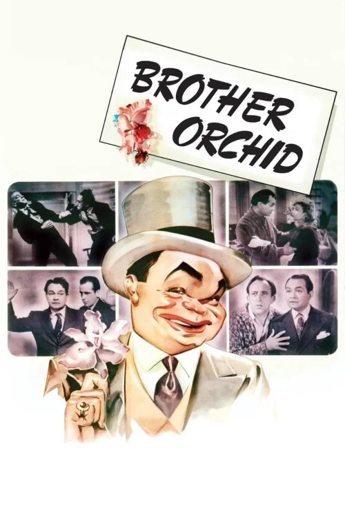 Brother Orchid Poster