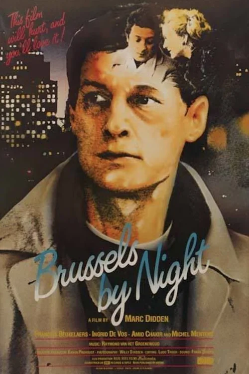 Brussels by Night Poster