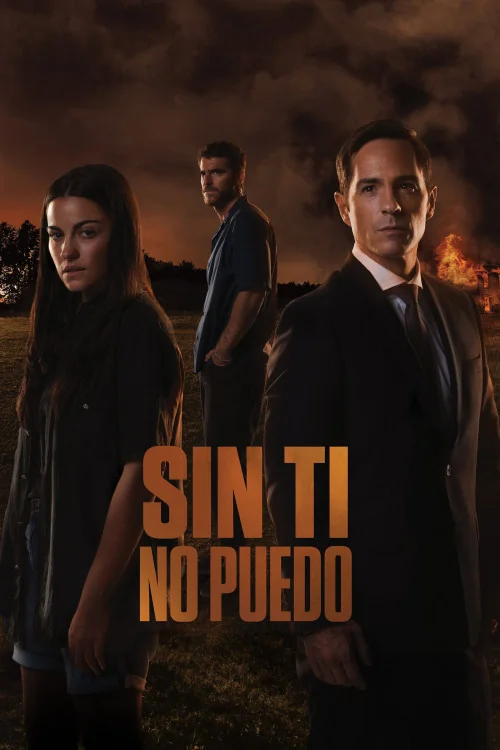 Can't Live Without You Poster