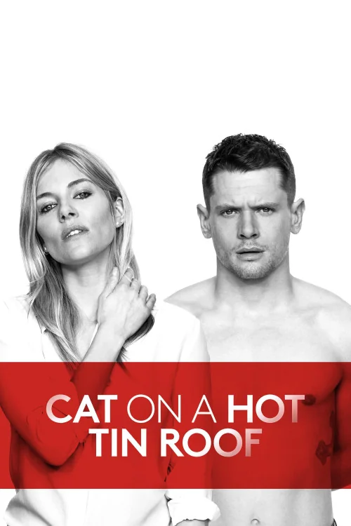 Cat on a Hot Tin Roof Poster