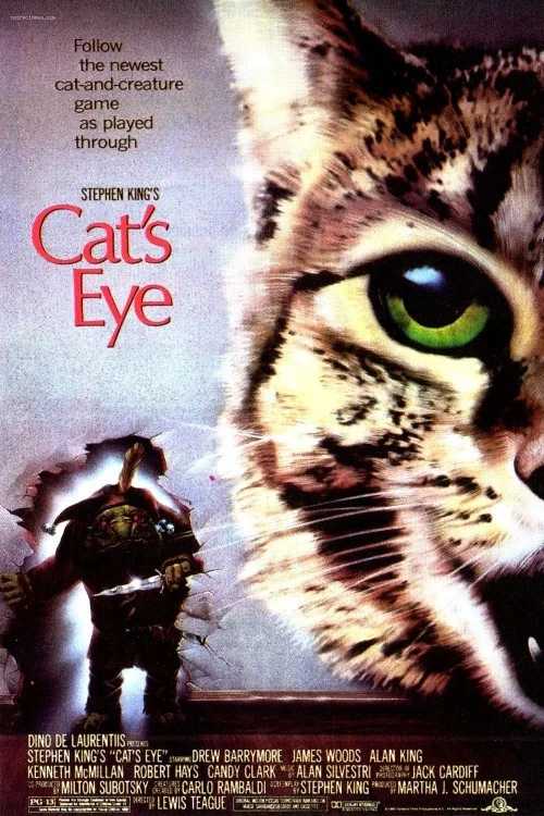 Cat's Eye Poster
