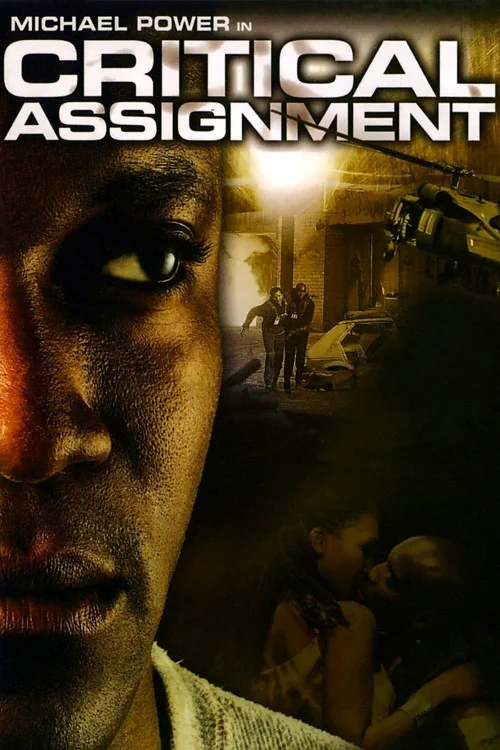 Critical Assignment Poster