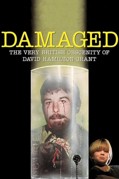 Damaged Poster