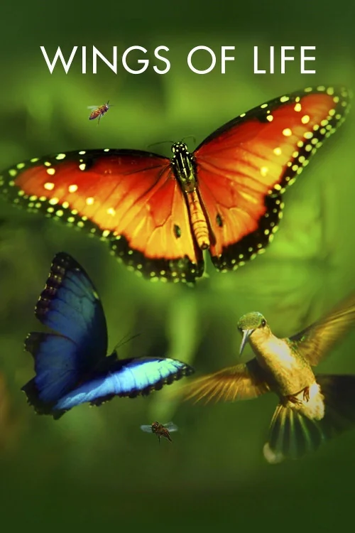 Disneynature: Wings of Life Poster