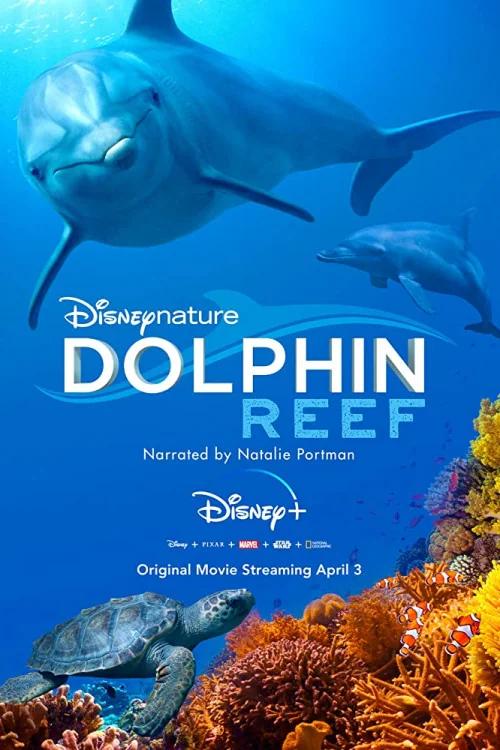 Dolphin Reef Poster