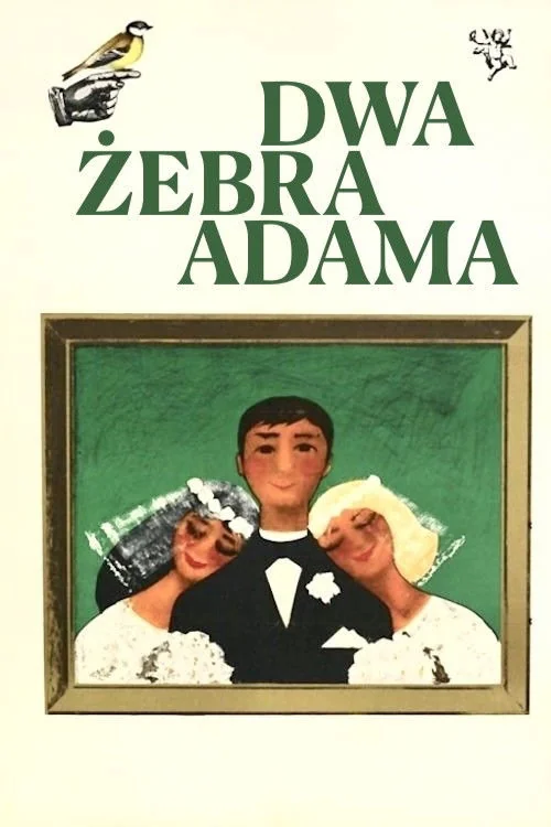 Dwa zebra Adama Poster