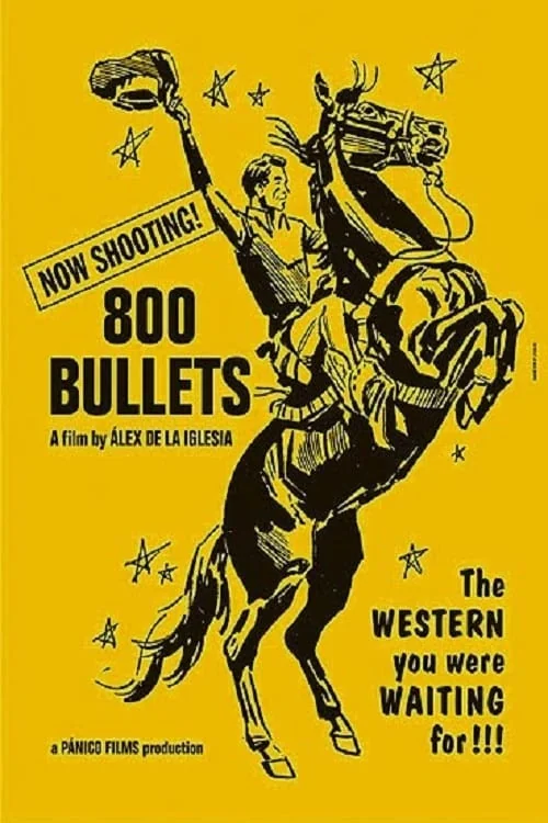 Eight Hundred Bullets Poster