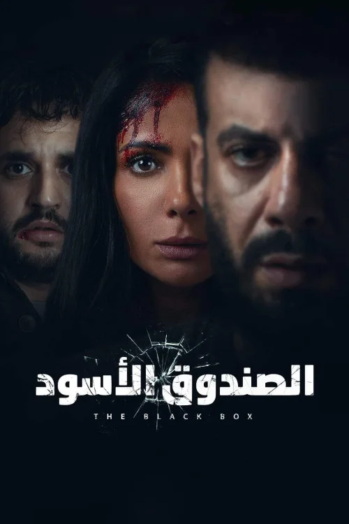 El-Sandooq el-Aswad Poster