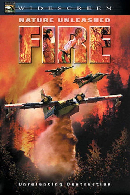 Fire Poster