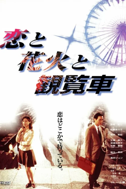 Fireworks Ferris Wheels and Love Poster