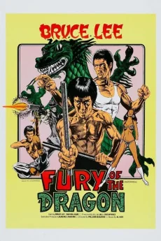 Fury of the Dragon Poster