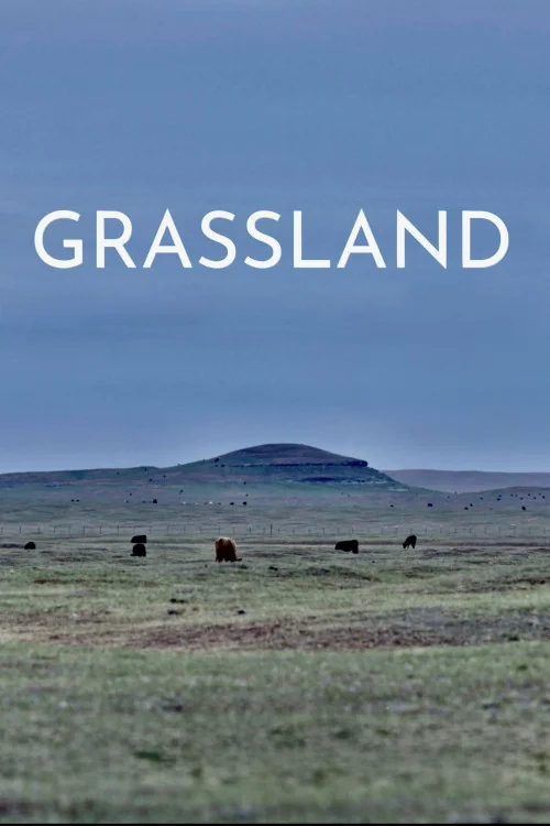Grassland Poster
