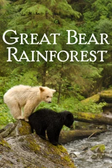 Great Bear Rainforest Poster