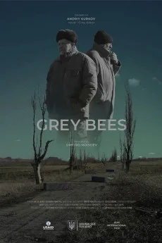 Grey Bees Poster