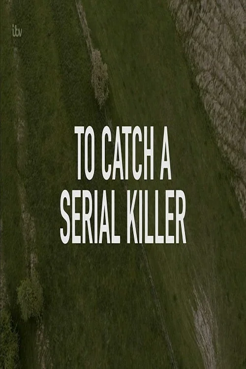 How to Catch a Serial Killer Poster