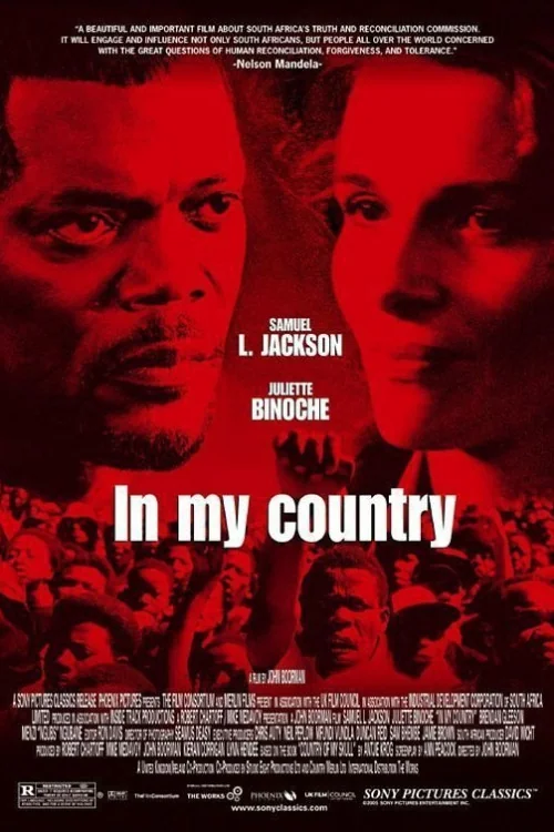 In My Country Poster