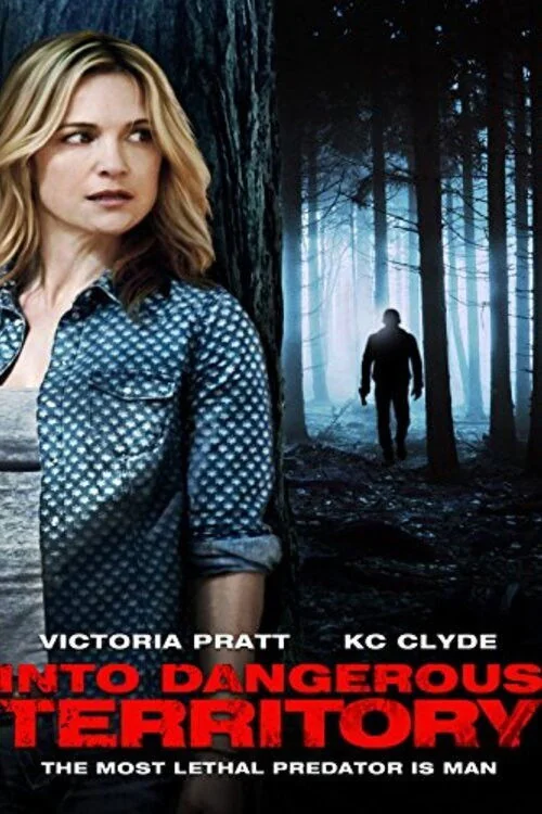 Into Dangerous Territory Poster