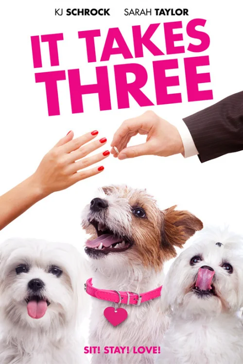 It Takes Three Poster