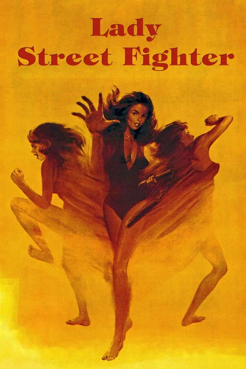 Lady Street Fighter Poster