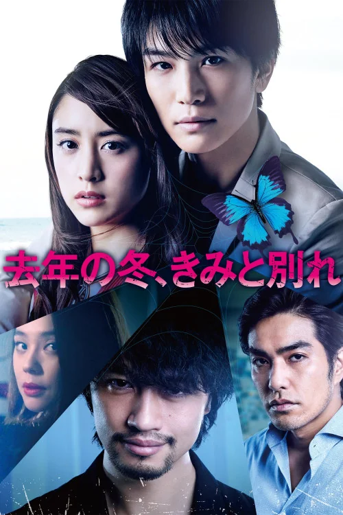 Last Winter, We Parted Poster