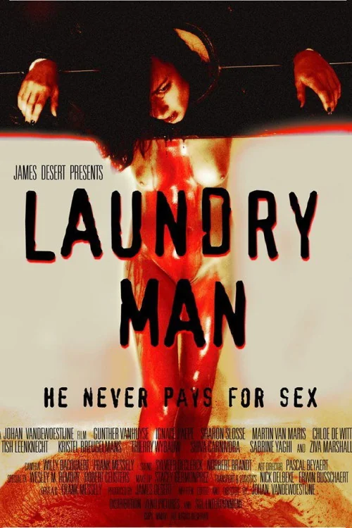 Laundry Man Poster