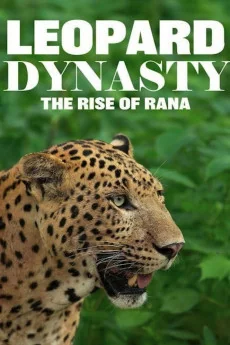Leopard Dynasty-The Rise of Rana Poster