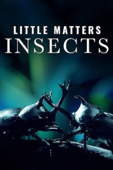 Little Matters: Insects Poster