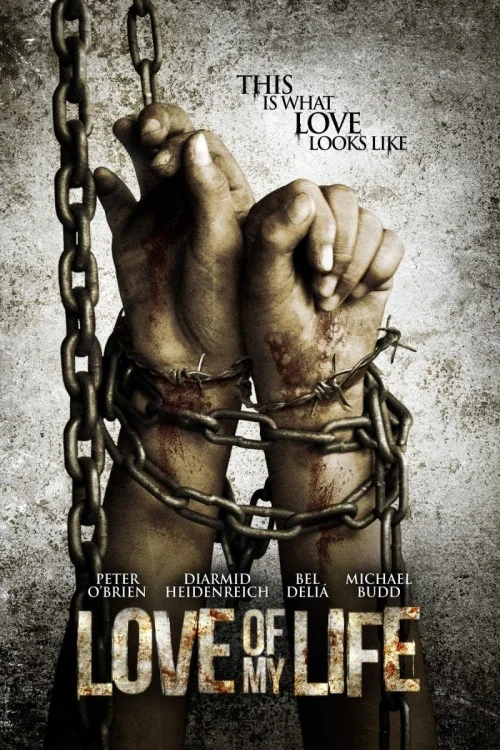 Love of My Life Poster