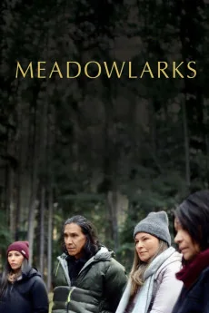 Meadowlarks Poster