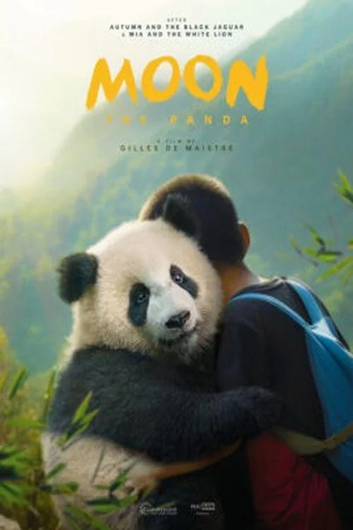 Moon the Panda Poster