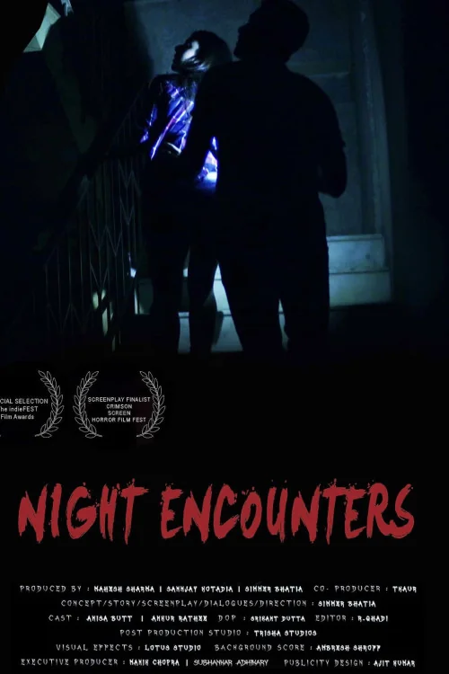 Night Encounters Poster