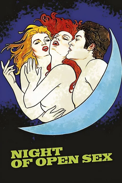 Night of Open Sex Poster