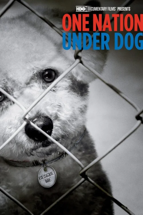 One Nation Under Dog Poster