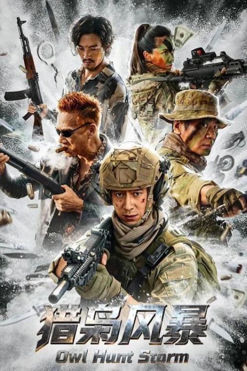 Owl Hunt Storm Poster